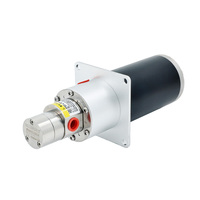 Pompe à engrenages en acier inoxydable de haute qualité, zéro fuite, basse pression, 0,9 ml/rev, moteur à courant continu à balais, résistante à la corrosion, pour le remplissage de condiments