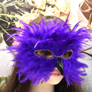 Máscara de Plumas de Águila con Pico Largo, Disfraz de Carnaval, Baile de Disfraces, Halloween, Accesorios de Disfraz de Fiesta con Múltiples Plumas - Product Image 5