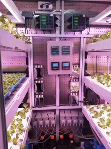 Controlador de nutrientes Digital, medidor de control automático para sistema de cultivo hidropónico de interior, 70ml/min, PH EC - Product Image 6