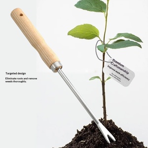 Ensemble de cinq pelles de jardin en acier inoxydable pour le nettoyage et le désherbage des plantes en pot, avec manche en bois massif - Product Image 2