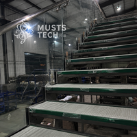 Fabricant chinois, usine directe, escalier sur mesure personnalisé en taille et couleur, conception d'ingénierie mondiale