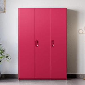 Guardaroba d'acciaio laminato a freddo alla moda per l'organizzazione di stoccaggio e vestiti della camera da letto dell'appartamento - Product Image 2