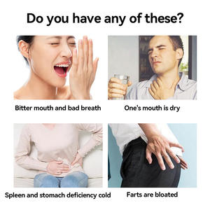 Thé de Santé Infusé aux Herbes pour le <span class=keywords><strong>Foie</strong></span> et l'Haleine, Sachets de Thé Amers pour une Haleine Fraîche - Product Image 2