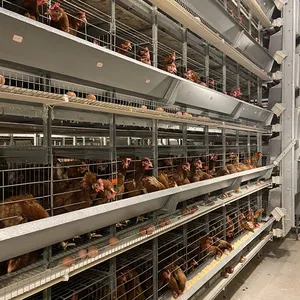 מפעל אספקת h סוג עופות חקלאות 3 tiers זול שכבה כלוב סוללה עוף מחיר כלובי תרנגולות מטילות למכור ב אלג 'יריה