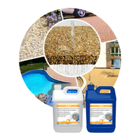 Résine époxy et durcisseur pour revêtements de sol en pierre, allées en béton, pavés, allées piétonnes, patios, fosses d'arbres et chemins