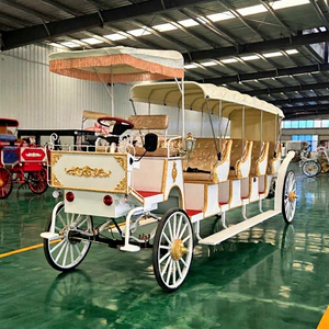 Carroza Eléctrica de 4 Ruedas para Bodas y Turismo, Estilo Cenicienta, Cuatro Filas, 14 Plazas, Color Personalizable, Venta Directa de Fábrica Zhenda - Product Image 1