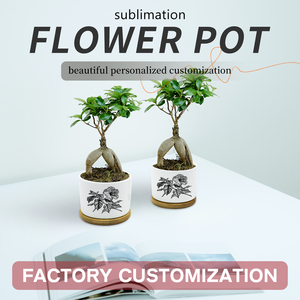 Vente en gros de pot de fleurs en céramique de 3.15/3.55 pouces pot de fleurs par sublimation avec revêtement vierge et fleur en céramique avec <span class=keywords><strong>bambou</strong></span> - Product Image 6