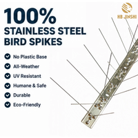 Piques anti-oiseaux 100 % acier inoxydable massif, contrôle des animaux, résistantes aux intempéries et aux UV, sans base en plastique, 50 cm, humaines, durables, écologiques