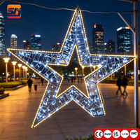 Maßgefertigtes 2D LED-Sternmotiv-Licht IP65 Außen-Weihnachtslandschaftsdekoration