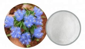 Chất lượng cao springjia ecdysterone, beta-ecdysterone, ecdysone 98% cyanotis vaga chiết xuất cyanotis arachnoidea chiết xuất - Product Image 4