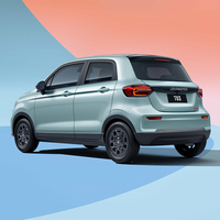 Comprar coches eléctricos baratos Leapmotor T03 2024 200 qinxiang 4 plazas coches usados de largo alcance 2023 2024 edición coches eléctricos para adultos
