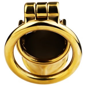Jaula para Pene de Color Dorado FRRK, Dispositivo de Castidad Masculina, Candado para Pene, Jaula para Pene BDSM, Jaula Dorada, Juguetes Sexuales de Castidad para Hombres - Product Image 6