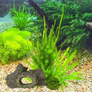 Bûche creuse <span class=keywords><strong>Aquarium</strong></span> lézard décoration habitat naturel Betta Reptile cacher accessoires de réservoir de poissons - Product Image 4