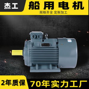 Moteurs YH Motors, moteurs asynchrones triphasés horizontaux à courant alternatif pour pompes à eau, pompes à vide, moteurs de bateaux marins - Product Image 4