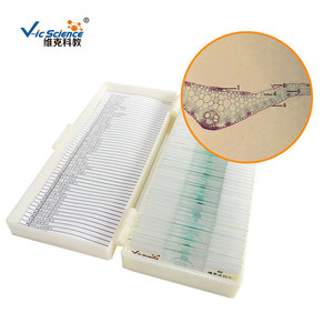 Suministro directo de secciones transversales de hojas de maíz, especímenes botánicos, angiospermas, preparados de plantas y animales, preparados para microscopio. - Product Image 2