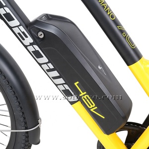 จักรยานไฟฟ้าทรงยาวสำหรับเด็ก48V หางยาวสำหรับครอบครัว500W - Product Image 3