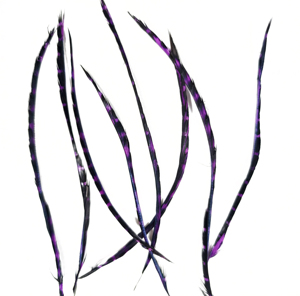 Plume de canard Biot colorée à motifs pour artisanat DIY, coiffure, déguisement, matériel de montage de mouches de pêche, ornement, décoration de franges de rêve - Product Image 3