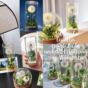 AYOYO Flor Eterna, Diente de León en Botella de Cristal, Adorno, Regalo, Flor Seca, Flor Auténtica, Regalo para el Día del Maestro, San Valentín 2026 - Product Image 6
