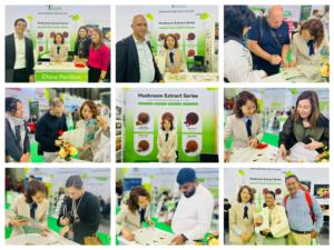 Kunstmatige Aanplant Epimedium Leaf <span class=keywords><strong>Extract</strong></span> Poeder Food-Grade Organische <span class=keywords><strong>Yin</strong></span> <span class=keywords><strong>Yang</strong></span> <span class=keywords><strong>Huo</strong></span> Uv Test Icariin 10% Hplc Drumverpakking - Product Image 6