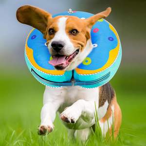Collar Inflable Personalizado para Perros (Alternativa al <span class=keywords><strong>E</strong></span>-Collar) - Reflectante, Ajustable y Suave para Mascotas de Todos los Tamaños - Product Image 1