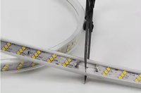 Bande lumineuse LED étanche IP68 à double rangée 5730, 100 mètres, haute luminosité, 110 V/220 V