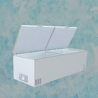 Congélateur commercial horizontal haute efficacité 1000L armoire alimentaire de congélation avec porte en verre Type de porte ouverte Type de climat frais