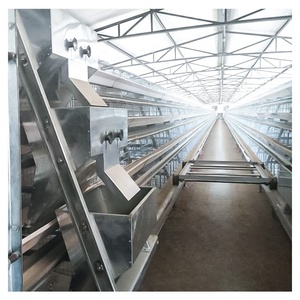 New PVC + ABS Chất liệu a-lớp gà lồng tự động trứng Gia cầm Thiết bị nuôi hệ thống zhuoyi thương hiệu thấp hơn trứng bị hỏng - Product Image 1