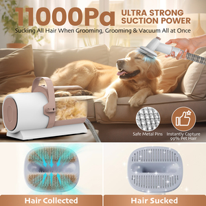 USA DDP spedizione gratuita a basso rumore 11000Pa cucciolo elettrico spazzola pettine gatto cane rimozione peli <span class=keywords><strong>Pet</strong></span> toelettatura kit aspirapolvere - Product Image 4