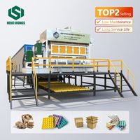 China Machine 4000-5000 stuks/uur Aanpasbare Papieren Eierbakvormmachine met Pompmotor 380V/220V