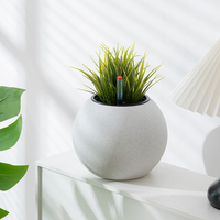 Pot de fleurs rond en plastique PP doré, finition sablée, mèche d'auto-arrosage, décoration de bureau intérieure pour plantes succulentes.