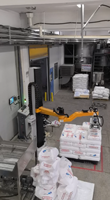 Robot colonne pour le dépalettisage de sachets de sirop de glucose/maltose, bras robotisé, 25 kg/sachet, 100 sachets/h, qualité alimentaire, option antidéflagrante, PLC