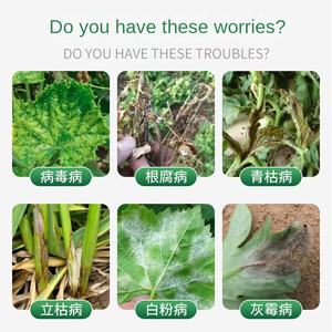 Daoduo <span class=keywords><strong>Engrais</strong></span> organique pour fleurs d'orchidées Bon pour le jardin intérieur et extérieur Blooming Factory Direct Bactéries Clear - Product Image 4