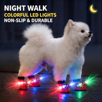 Chaussures pour chien en EVA lumineuses à LED, antidérapantes, respirantes, imperméables, réglables, protège-pattes pour la marche en extérieur