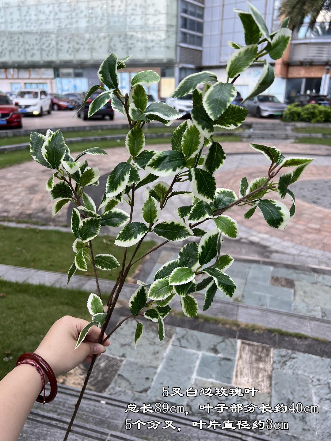5 feuilles de rose fourchues à bords blancs (5 par option)