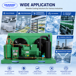 S6H-20.2Y 20HP Bitzer <b>Open</b> Type Compressor <b>Unit</b> Bitzer Condensing <b>Unit</b> For Cold <b>Storage</b> - Product Image 2