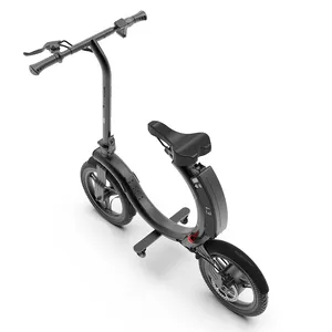 Neues Design heißer Verkauf billig Erwachsene Faltbares Elektro fahrrad 14 Zoll Mode e Fahrrad 350w
