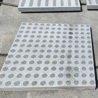 Dalles de pavage tactiles en granit durables et écologiques, directement de l'usine, pour trottoirs modernes sans obstacle et parcs extérieurs