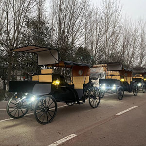 Carro de turismo sin caballos real europeo, parques de atracciones para paseos en carro eléctrico, venta de transporte especial - Product Image 1