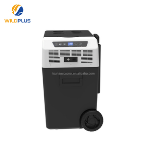 Dc 12v portátil acampamento <span class=keywords><strong>freezer</strong></span>, para uso externo 30l oem <span class=keywords><strong>freezer</strong></span> elétrico frigorífico mini geladeira