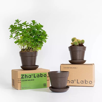 Kit de pot de fleurs DIY écologique en grains de café recyclés, conteneur pour plantes d'intérieur ou de bureau, graines à planter, pot de fleur