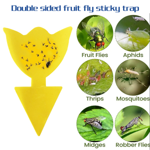 Piège collant jaune solide double face étanche pour le contrôle des ravageurs <span class=keywords><strong>de</strong></span> jardin courants - Product Image 5