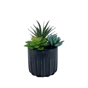 Vente en gros de 100 pièces de plantes succulentes artificielles en vrac-Mini plantes de <span class=keywords><strong>faux</strong></span> <span class=keywords><strong>cactus</strong></span> pour bricolage artisanat décoration de mariage <span class=keywords><strong>pas</strong></span> <span class=keywords><strong>cher</strong></span> - Product Image 1