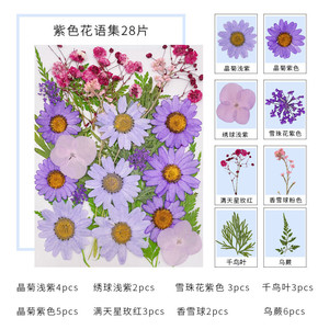 28pcs DIY Nhựa thủ công ép hoa Kit cho nến làm iPhone trường hợp thiên nhiên lá nghệ thuật Nguồn cung cấp - Product Image 6