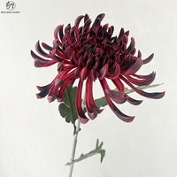 Bunga Dahlia Artifisial Sentuhan Asli PU Putih Burgundy 19cm Berkualitas Tinggi untuk Dekorasi Interior Rumah Ruang Tamu