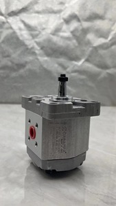 PLP Hydraulische Zahnradpumpe PLP30.61D0-32S5-LGG/GF-N PLP30.61D0-32S5-LGG/GF-N Zahnradpumpe - Product Image 6