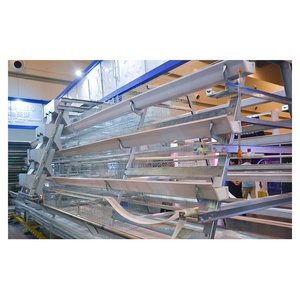 Cage à poules pondeuses automatique de type A Zhuo <span class=keywords><strong>Yi</strong></span> à 3/4 niveaux, capacité 96/120/160 oiseaux, nouvelle conception en nylon + fibre de verre, faible taux de cassures d'œufs, longue durée de vie - Product Image 2