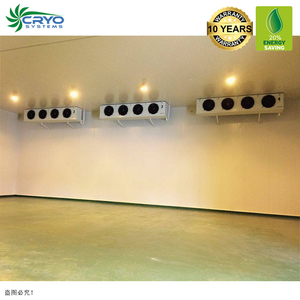 Gà Chân Grado Một Thịt Bò Phổi Kho Lưu Trữ Lạnh Miami Phòng Lạnh Nhỏ Buồng Lạnh - Product Image 4