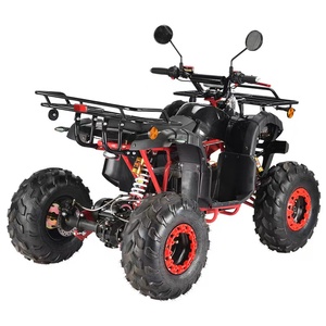 Bicicleta Eléctrica Todoterreno de 8 Pulgadas y 4 Ruedas con Motor Trasero de 2000W y Batería de Plomo-Ácido de 60V 20Ah - Product Image 3