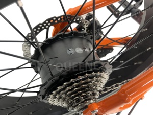 QUEENE/24V 36V 250W Trottinette électrique, vélo d'équilibre pour enfants, jouet pour enfants, vélo d'apprentissage, vélo d'équilibre électrique - Product Image 5