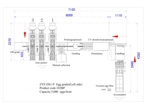 도매 공장 가격 자동 포장기 LED 검란 계란 등급 분류기 판매 - Product Image 5